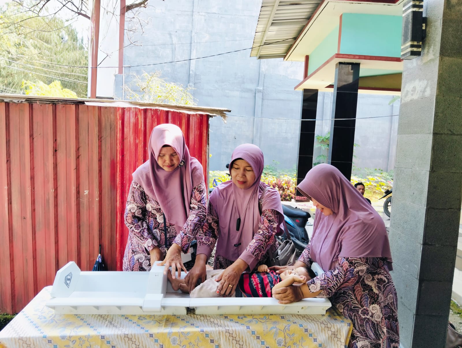 hari posyandu nasional